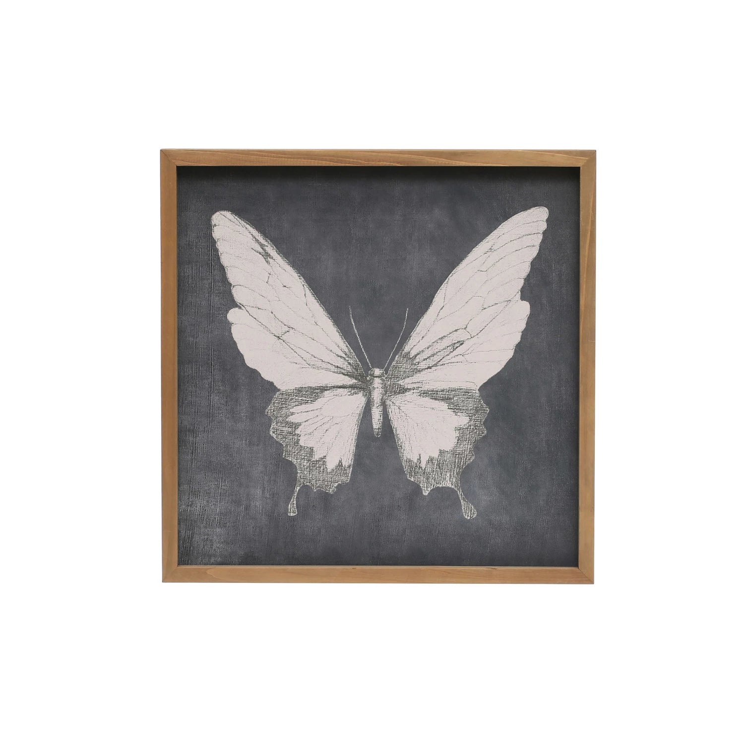White butterfly on a black chalk-like background in an oak frame.