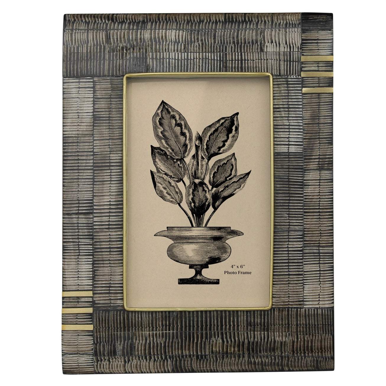 Chiseled Horn & Brass Photo Frame