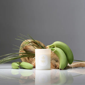 Banana Wild scented candle with green bananas and leaves displayed on a reflective surface against a gray background. Linnea Co. 