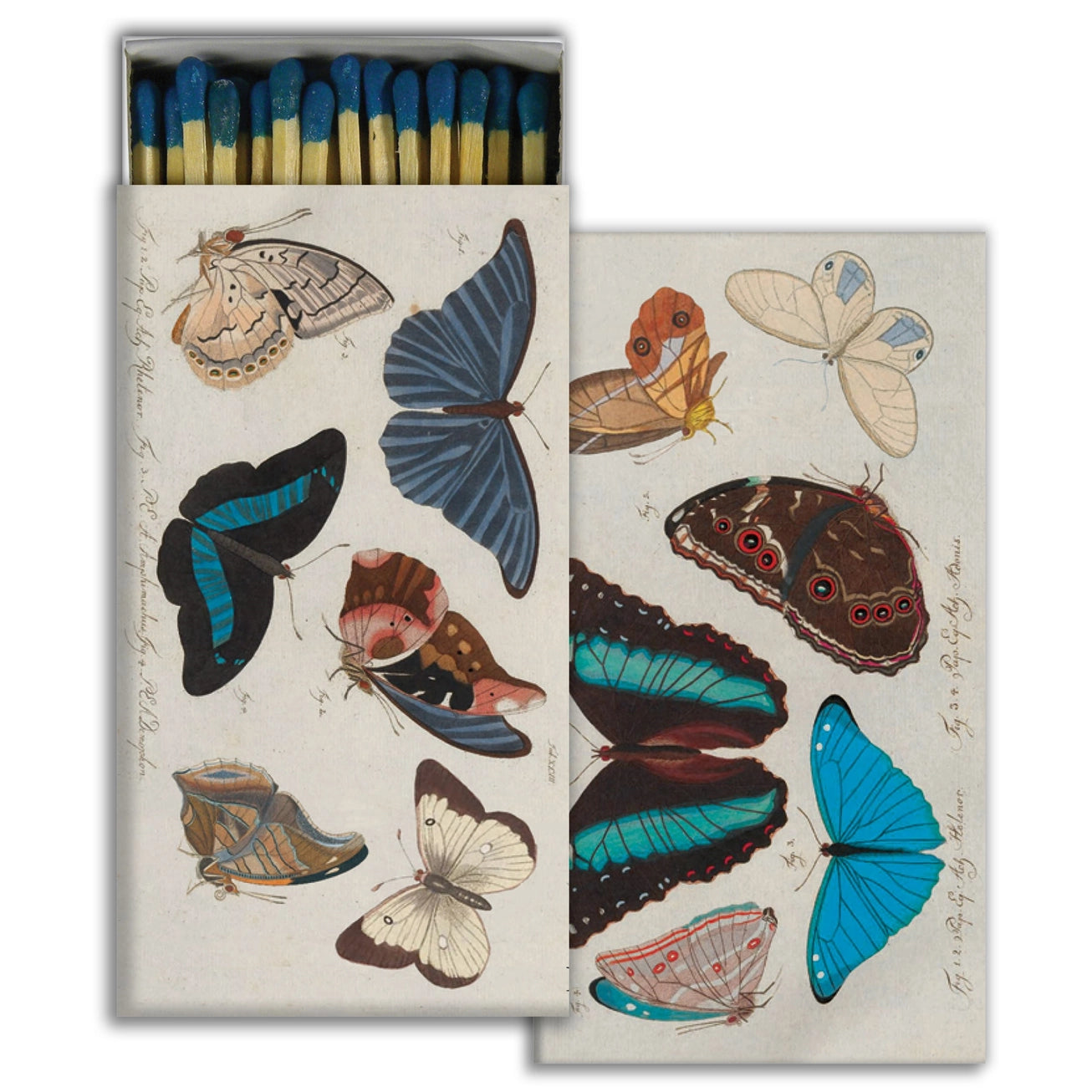 Decorative matchbox with illustrations of various blue butterflies on a white background. Safety matches included. 