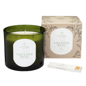 twenty-six ounce botnik green candle with 'Crushed Mint' scent and packaging on a white background