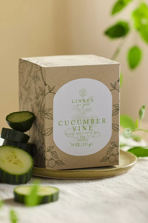 NEW candle labeled 'Cucumber Vine' by Linnéa on a neutral background with cucumbers decorated next to box. Botnik collection. 