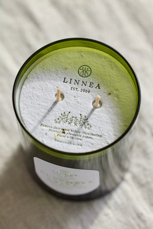 NEW Cucumber Vine Botnik candle from Linnea. 