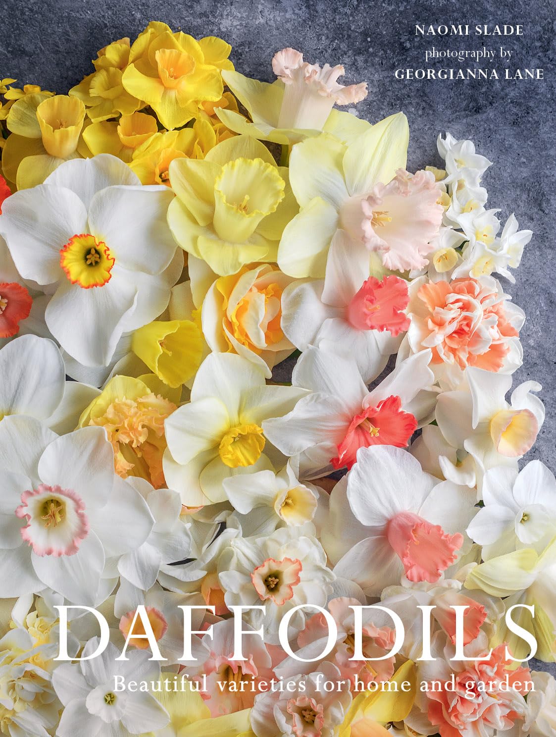 Assortment of photographed Daffodils by Georgianna Lane. Beautiful varieties for home and garden. Naomi Slade. 