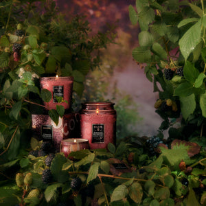 Voluspa Foraged Wildberry candles displayed in a natural foraging setting  layered with greenery and berry bushes. 