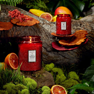 Voluspa Goji Tarocco Orange. Two red glass jar candles on a natural setting with orange fruits and green leaves.