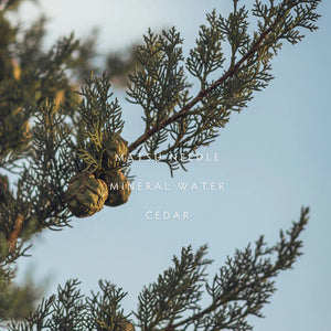 Cedar branch and large cones with text image "Matsu Needle, Mineral Water, and Cedar" across image. Linnea scent notes