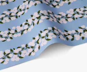 Floral hydrangea patterned wrapping paper with white flowers and light blue background. 
