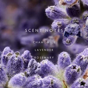 Close-up of purple flowers with text 'SCENT NOTES CHAMOMILE LAVENDER ROSEMARY' on a blurred purple lavender floral background.