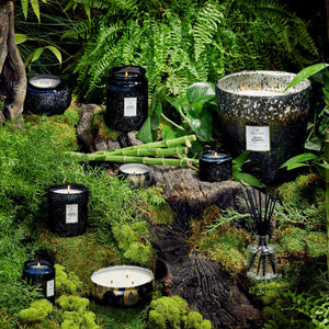 Various sizes of Voluspa's Moso Bamboo candles nestled in a forest backdrop with lots of green moss. 