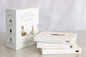 Stack of books titled 'Our Little Adventures' on a light surface with a neutral background