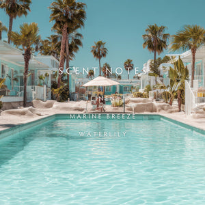 Pool area with palm trees and a clear blue sky; featuring text saying "Scent Notes, Linen, Marine Breeze, Waterlily." Linnea Co. 