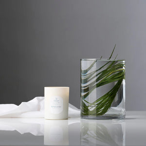 Poolside scented candle and glass votive filled with palm leaf on a reflective surface against a gray background. Linnea Co. 