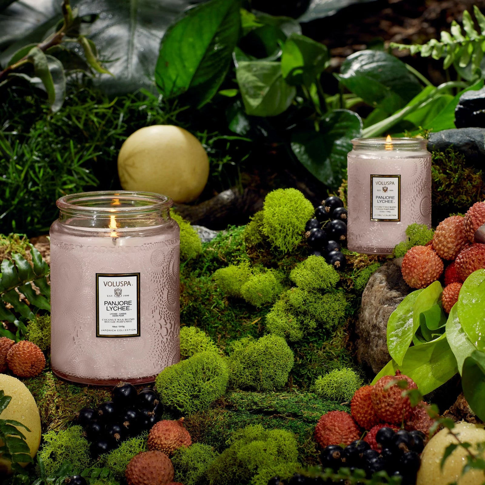 Voluspa  Panjore Lychee candles displayed in a lush garden of moss, berries, leaves, and fruits. 