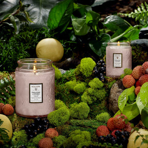 Voluspa  Panjore Lychee candles displayed in a lush garden of moss, berries, leaves, and fruits. 