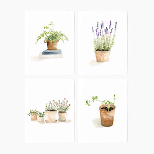 Set of eight watercolor notecards of potted plants on a white background. Emily Lex Studios. 