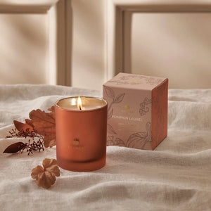 Pumpkin Laurel Collection | Thymes
