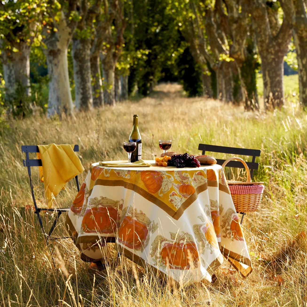 Round Autumn picnic set in a field surrounded by trees and various fruits displayed on table with wine. 