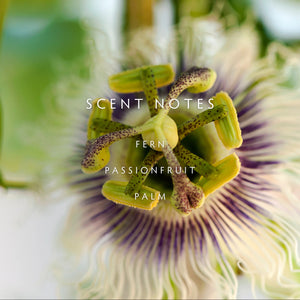 Close-up of a passionflower with text 'Scent Notes: Fern, Passionfruit, Palm' on a blurred green background.