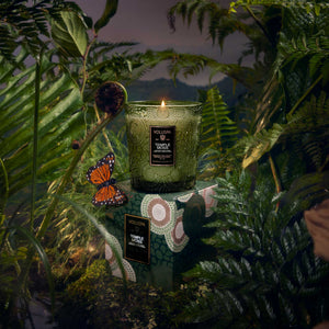Voluspa Temple Moss candle displayed in a lush green forest setting with ferns, butterflies, and moss. 