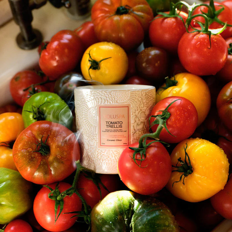 Lush Tomato Trellis candle surrounded by colorful roma tomatoes on a kitchen counter.