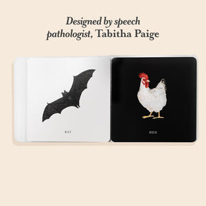 Open book with illustrations of a bat and a hen on beige background