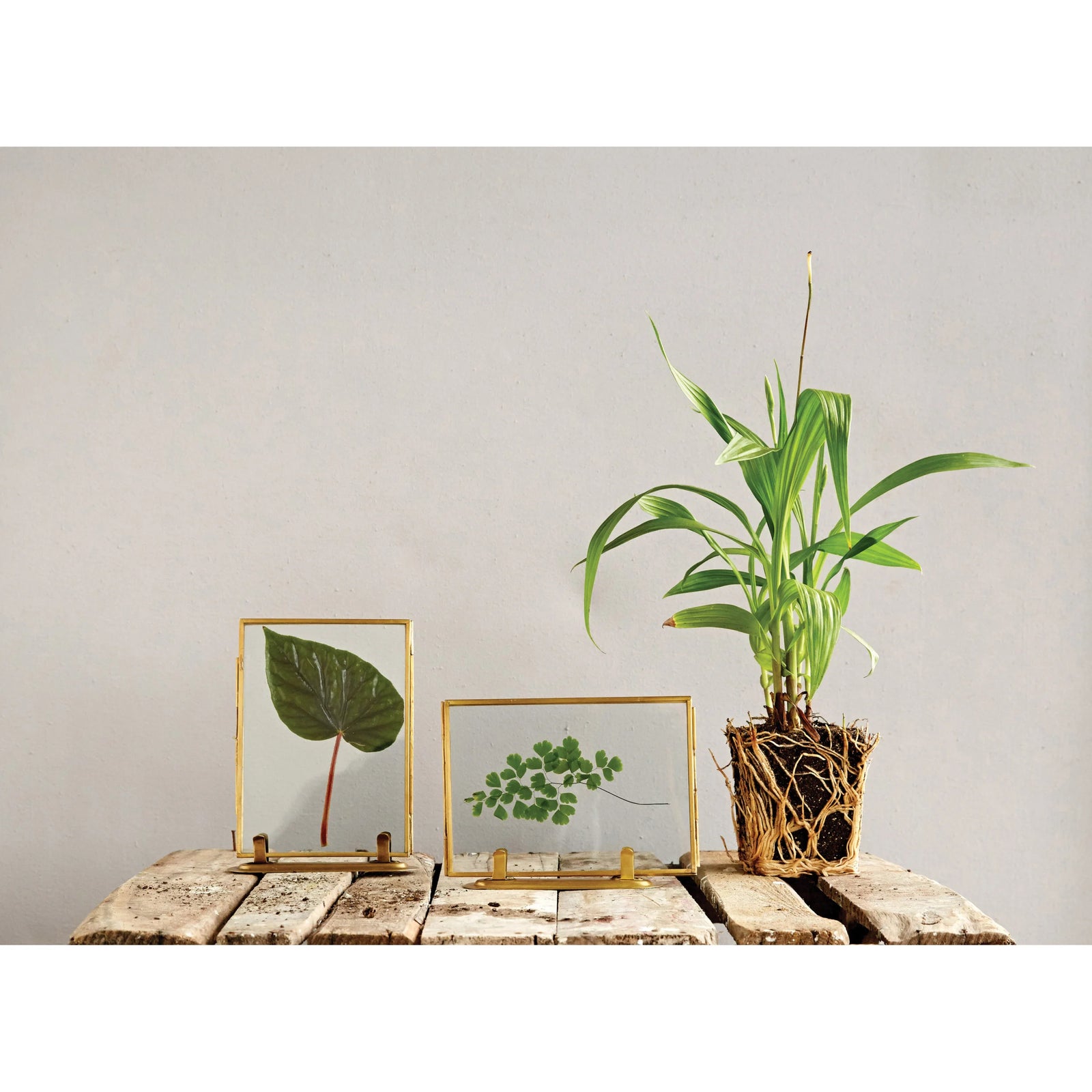 Brass Photo Frames