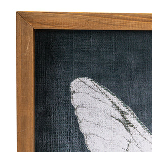Close up of the wood frame and black and white print of a butterfly wing.