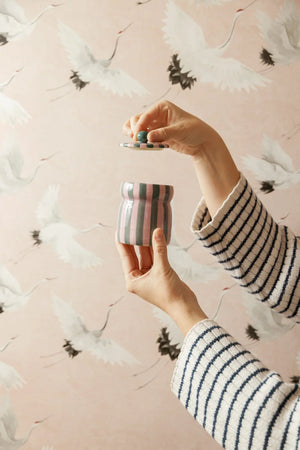 A person's hands holding a small striped ceramic jar with a lid, set against a pink wallpaper pattern of white cranes.