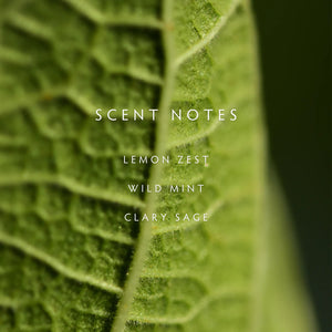 Close-up of a green leaf with text 'SCENT NOTES' and a list of scents on a dark background. Lemon zest, wild mint, and clary sage. 