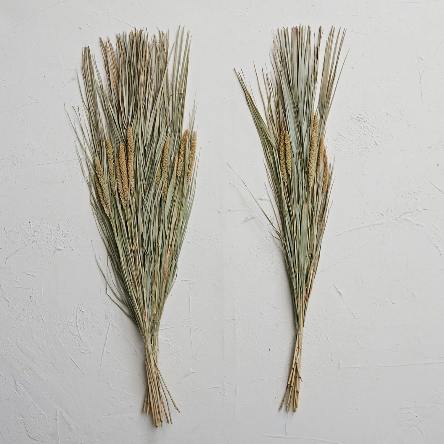 Dried Canary Grass and Date Palm Bunch