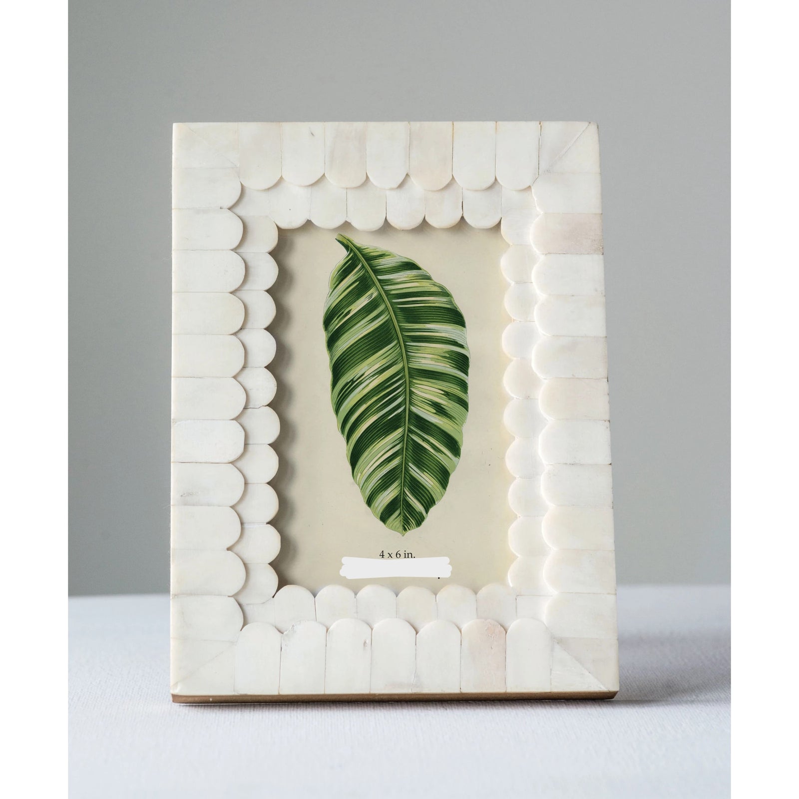 Scalloped Bone Frame