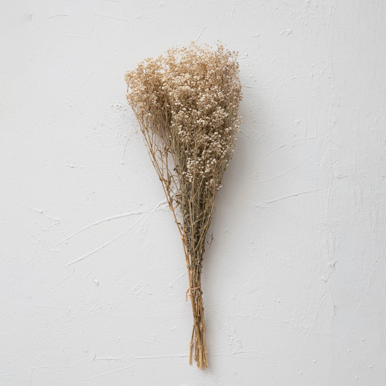 Dried baby's breath bunch in a natural hue tone.