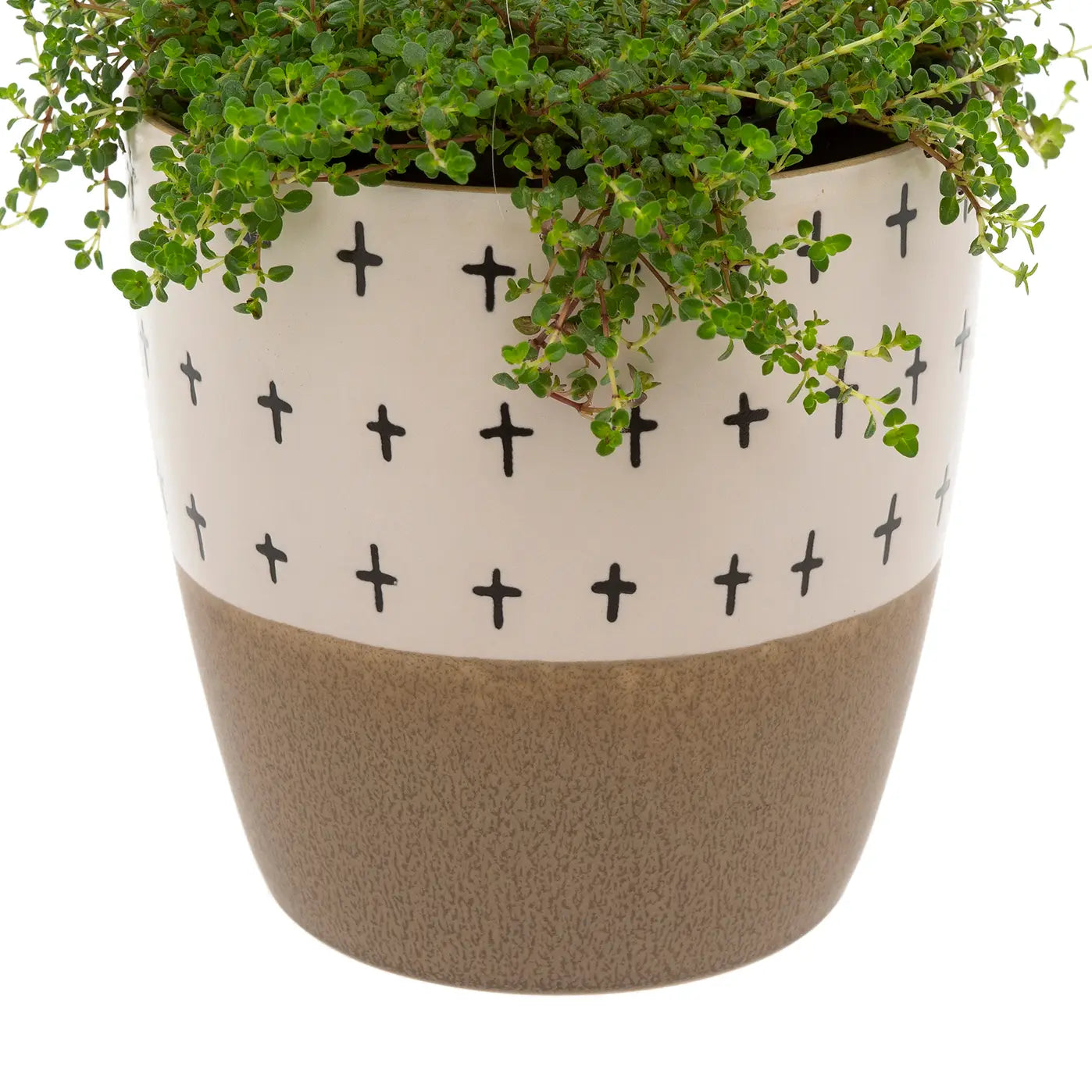 Red clay hand painted planter with cross pattern and green plant on a white background