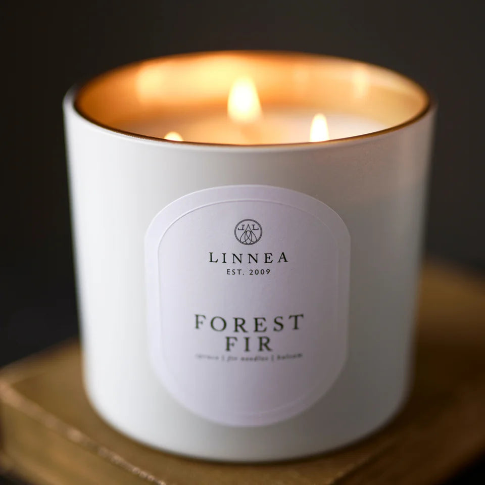 Forest Fir Grande Candle | Linnea