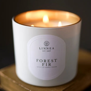 Forest Fir Grande Candle | Linnea