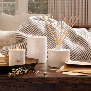 Frasier Fir Gilded Ceramic Candle | Thymes