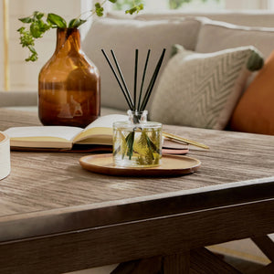 Frasier Fir Pine Needle Diffuser | Thymes