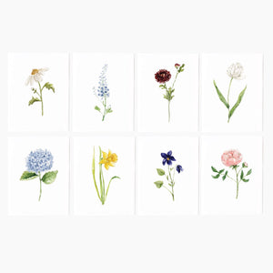 Eight watercolor illustrations of various flower notecards on a white background. Emily Lex Studios. 