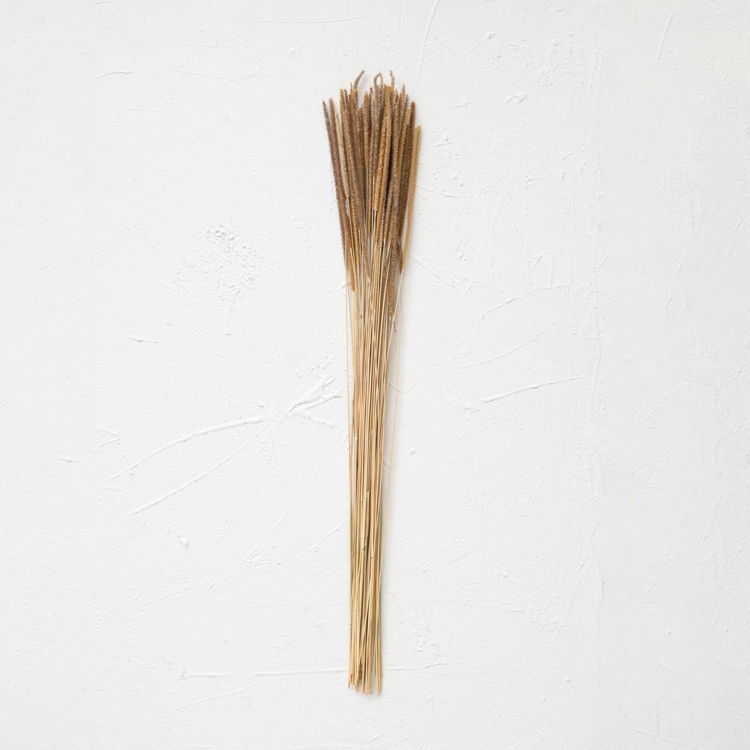 Loose bunch of goldenrod stems.