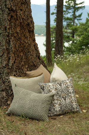 Decorative pillows on the grass near a tree with a scenic background of water and trees.