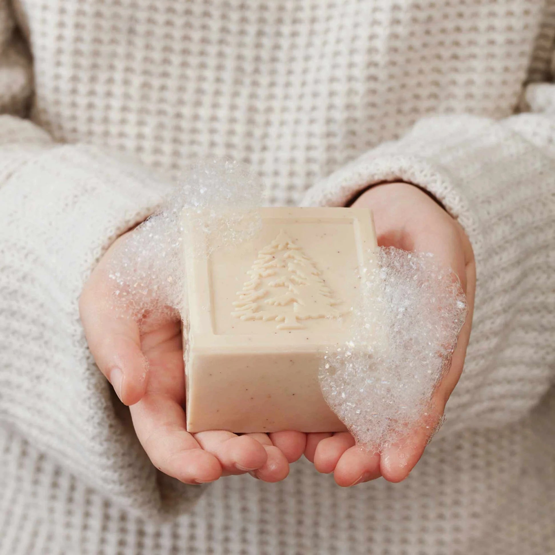 Frasier Fir Hand Bar Soap | Thymes