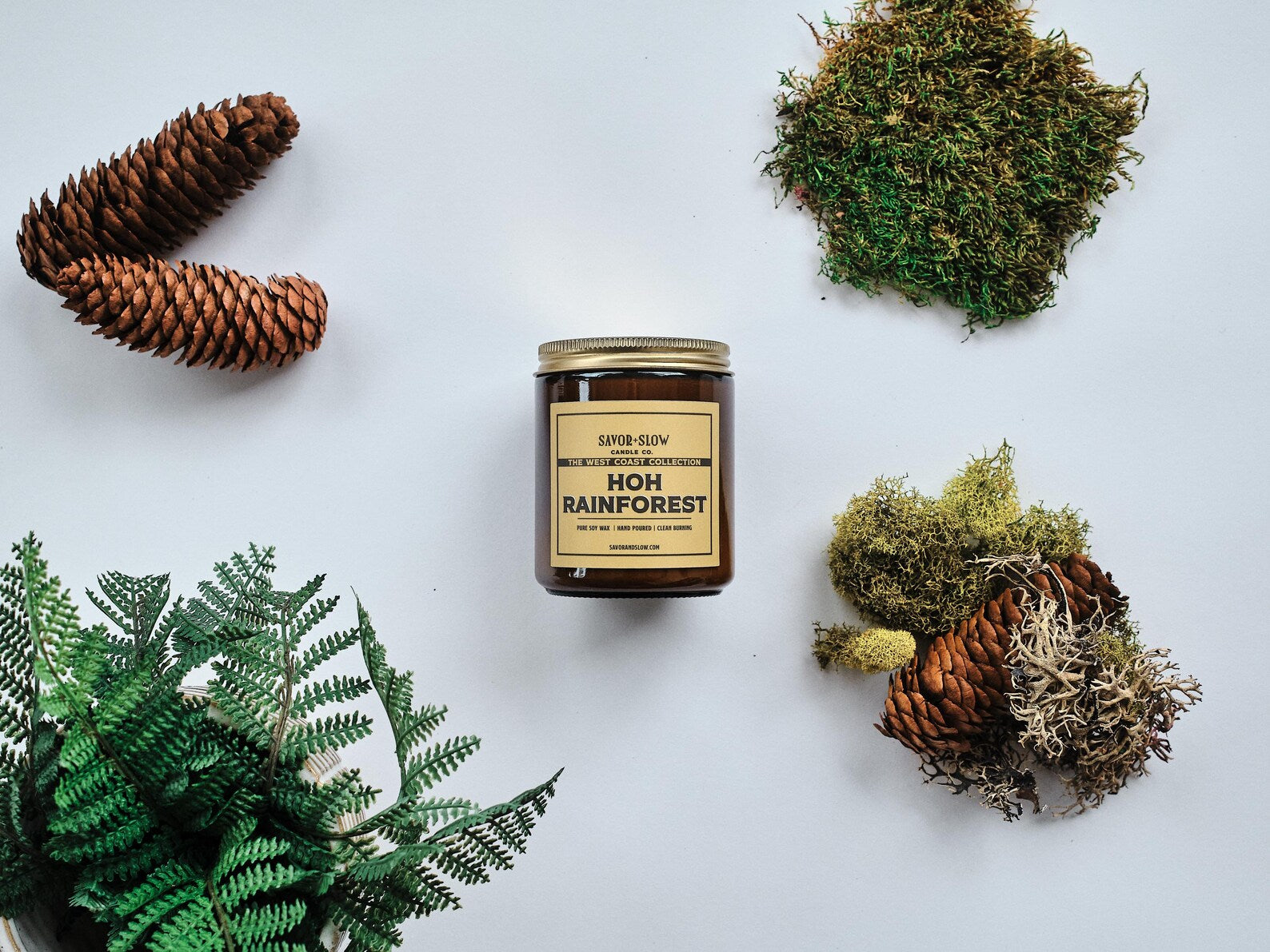 Hoh Rainforest Candle | Savor & Slow