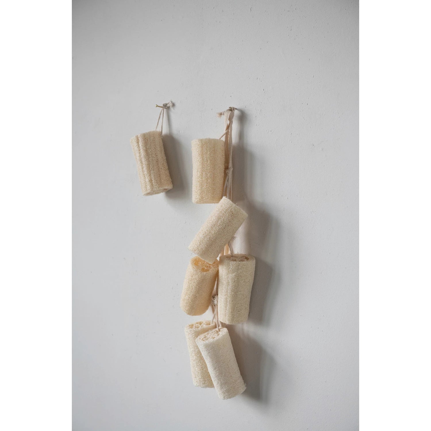 Multiple natural loofas hanging together from cotton rope on wall. 