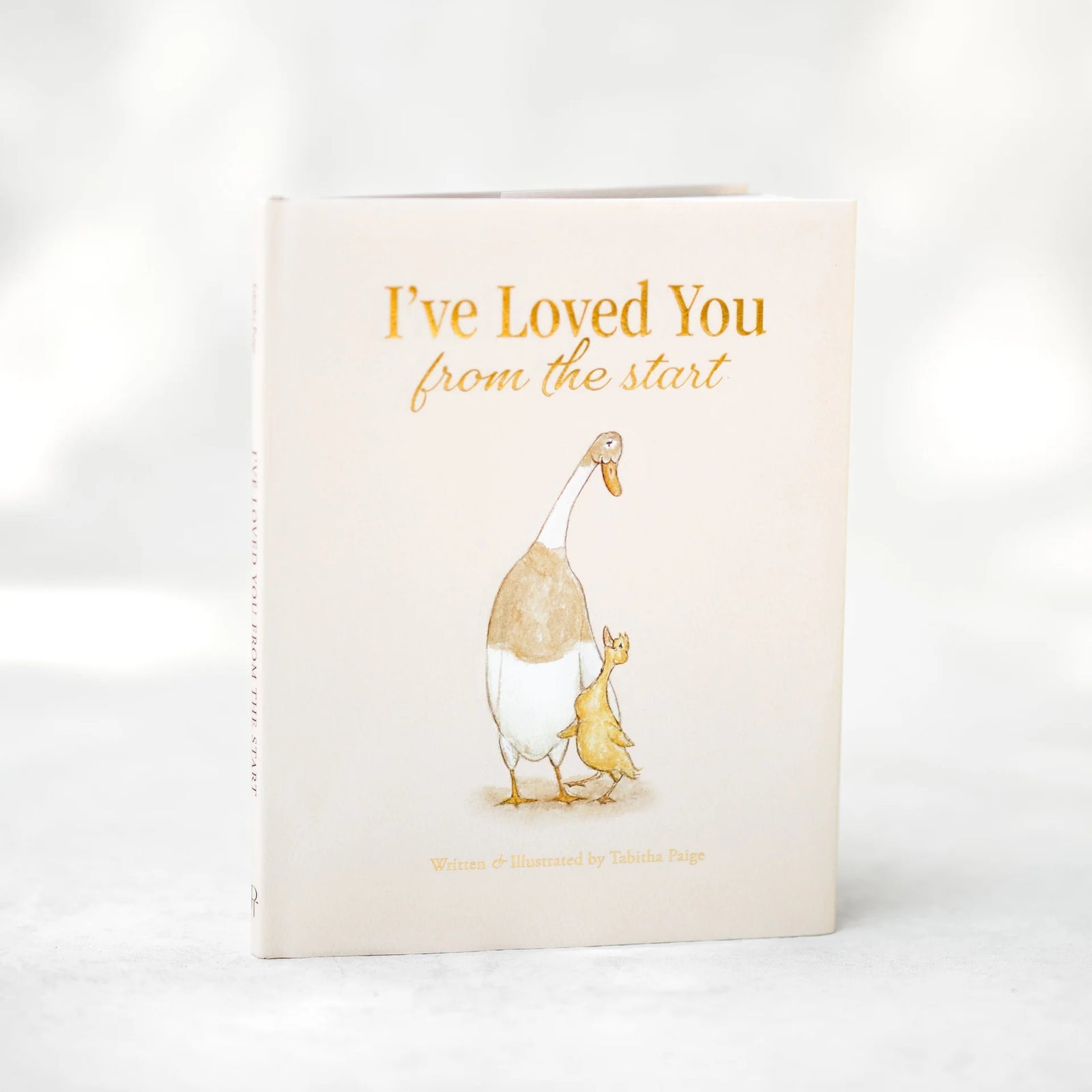 I've Loved You From The Start | Tabitha Paige