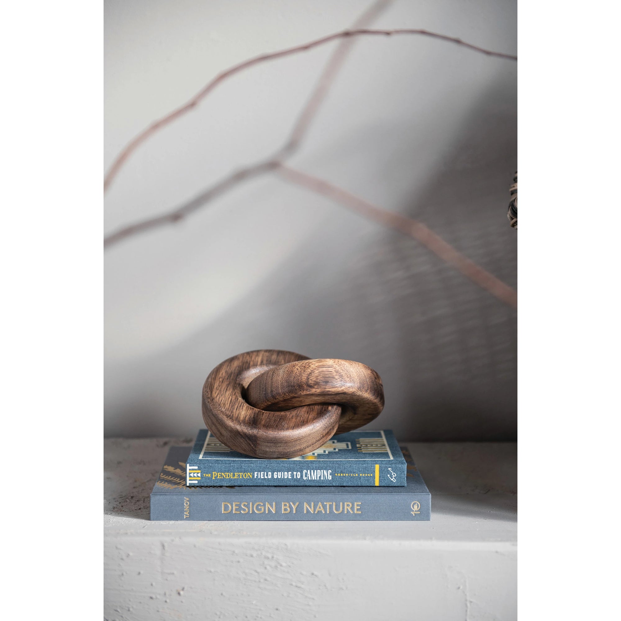 Burnt mango wood two chain link resting on pale blue vintage book stack. 