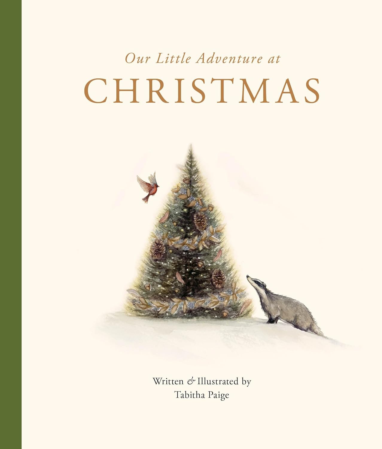 Our LIttle Adventure at Christmas | Tabitha Paige