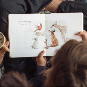 Our LIttle Adventure at Christmas | Tabitha Paige