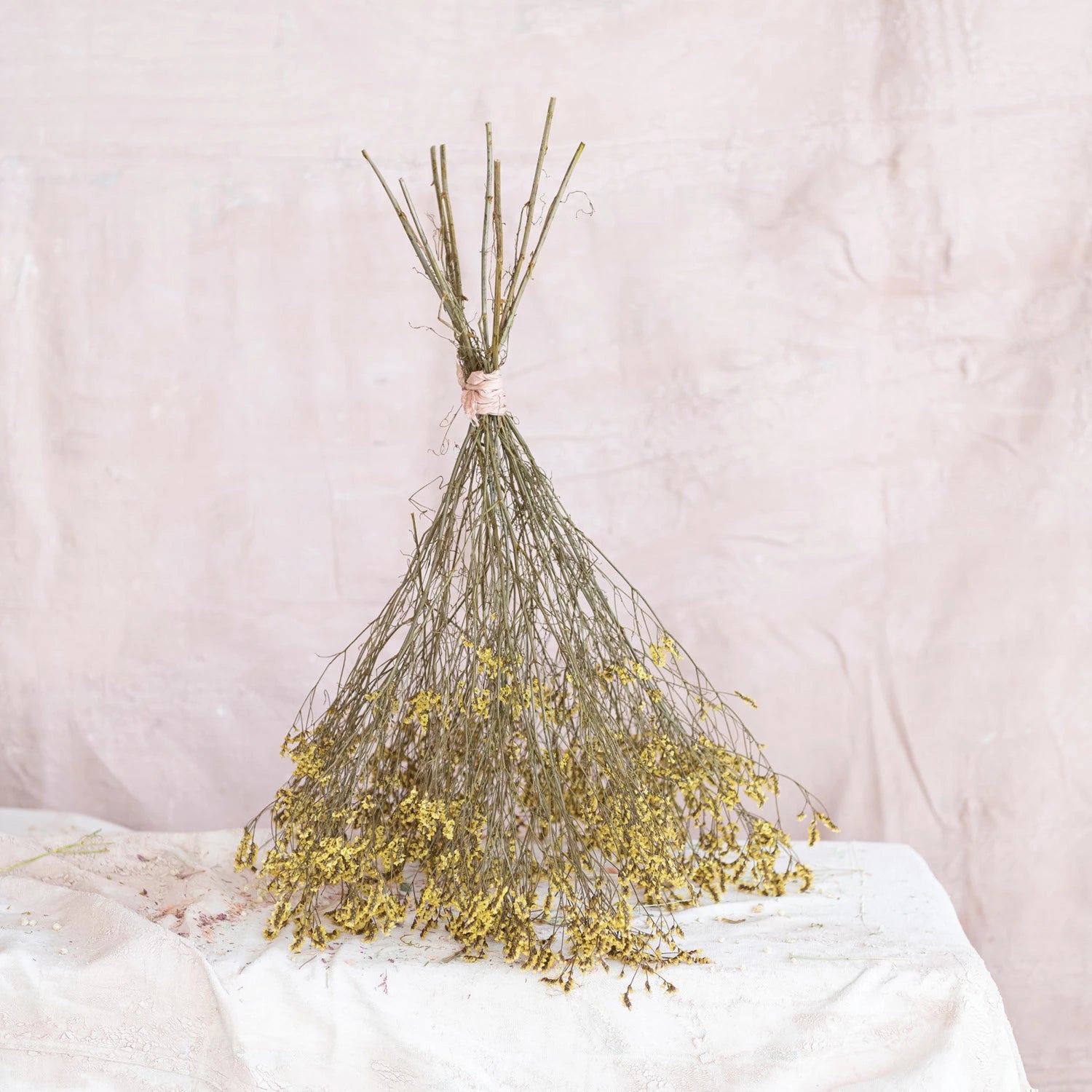 Golden dried pearl grass upside down and fanned out.