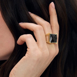 Plaza Gemstone Ring | Iridescent Hematite